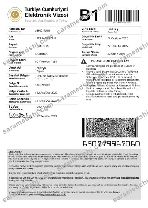 Turkey e-visa template in Word and PDF formats